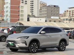 BYD Song Plus New Energy DM-i Intelligent Driving 112KM Premium Edition - ფოტო 1