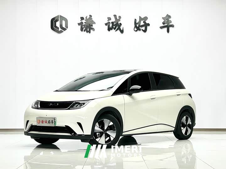 BYD Dolphin 420km Freedom Edition - ავტომობილი ჩინეთიდან