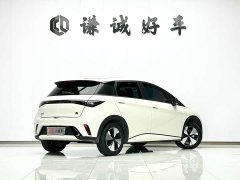 BYD Dolphin 420km Freedom Edition - ფოტო 5