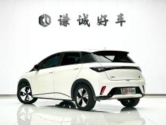 BYD Dolphin 420km Freedom Edition - ფოტო 7
