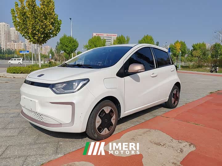 Flower Fairy 251km Clover 36kW - car from China