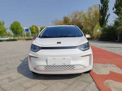 Flower Fairy 251km Clover 36kW - photo 2