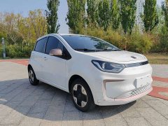 Flower Fairy 251km Clover 36kW - photo 3