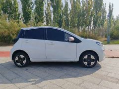 Flower Fairy 251km Clover 36kW - photo 4