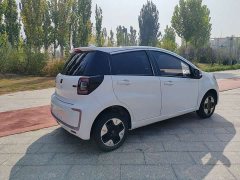 Flower Fairy 251km Clover 36kW - photo 5