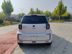 Flower Fairy 251km Clover 36kW - photo 6