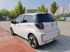 Flower Fairy 251km Clover 36kW - photo 7