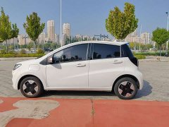 Flower Fairy 251km Clover 36kW - photo 8