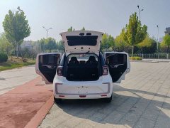 Flower Fairy 251km Clover 36kW - photo 9