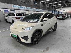 BYD Seagull 2025 Smart Driving Edition 305km Freedom Edition - ფოტო 1