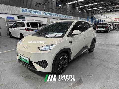2026 BYD Seagull Smart Driving Edition 305km Freedom Edition