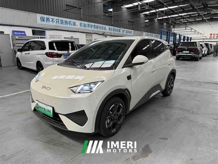 BYD Seagull Smart Driving Edition 305km Freedom Edition