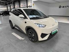 BYD Seagull 2025 Smart Driving Edition 305km Freedom Edition - ფოტო 3