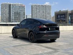 Tesla Model Y 2022 Facelift Rear-Wheel Drive - ფოტო 13