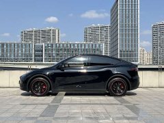 Tesla Model Y 2022 Facelift Rear-Wheel Drive - ფოტო 4