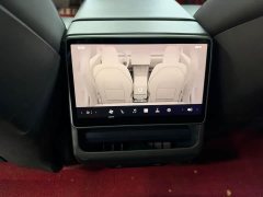 Tesla Model 3 Rear-Wheel Drive - ფოტო 10