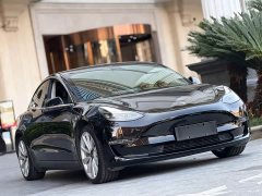Tesla Model 3 2020 Long Range Rear-Wheel Drive - ფოტო 2