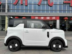 Geely Panda 210km Panda Kart CATL Edition - ფოტო 4