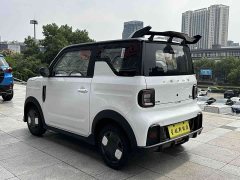 Geely Panda 210km Panda Kart CATL Edition - ფოტო 6