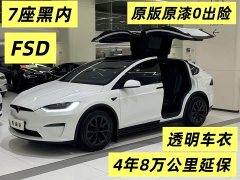 Tesla Model X Dual Motor All-Wheel Drive - ფოტო 1