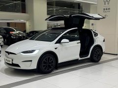 Tesla Model X Dual Motor All-Wheel Drive - ფოტო 2