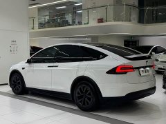 Tesla Model X Dual Motor All-Wheel Drive - ფოტო 20