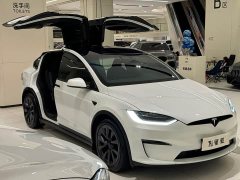 Tesla Model X Dual Motor All-Wheel Drive - ფოტო 3