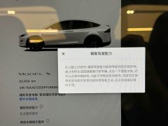 Tesla Model X Dual Motor All-Wheel Drive - ფოტო 8