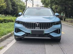 Voyah Lantu FREE 2021 Four-Wheel Drive Standard Extended Range Exclusive Luxury Package - ფოტო 2