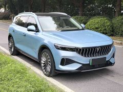 Voyah Lantu FREE 2021 Four-Wheel Drive Standard Extended Range Exclusive Luxury Package - ფოტო 3