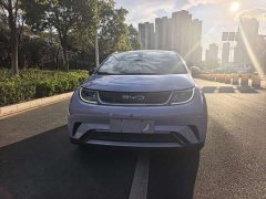BYD Dolphin 420km Fashion Edition - ფოტო 1