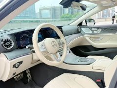 Mercedes-Benz CLS 300 AMG Dynamic - ფოტო 3