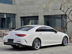 Mercedes-Benz CLS 300 AMG Dynamic - ფოტო 6