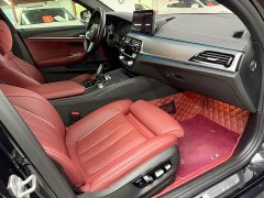 BMW 5 Series 530Li Luxury M Sport Package - ფოტო 13