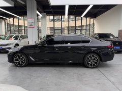 BMW 5 Series 530Li Luxury M Sport Package - ფოტო 16