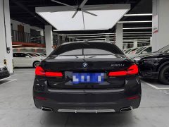BMW 5 Series 530Li Luxury M Sport Package - ფოტო 19