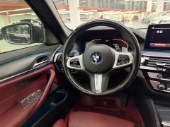 BMW 5 Series 530Li Luxury M Sport Package - ფოტო 8