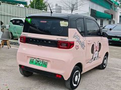 Wuling Hongguang MINIEV 2021 Macaron Fashion Edition Ternary Lithium - ფოტო 14