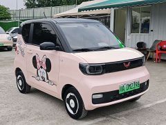 Wuling Hongguang MINIEV 2021 Macaron Fashion Edition Ternary Lithium - ფოტო 3