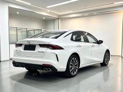 Trumpchi Leopard 270T DCT J11 - ფოტო 6
