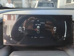 Nissan Z9 2.3T AWD Edition - ფოტო 14