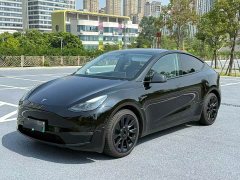 Tesla Model Y 2021 Standard Range RWD - ფოტო 1