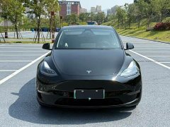 Tesla Model Y 2021 Standard Range RWD - ფოტო 2