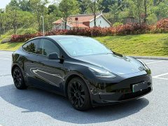 Tesla Model Y 2021 Standard Range RWD - ფოტო 3