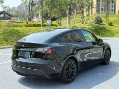 Tesla Model Y 2021 Standard Range RWD - ფოტო 9