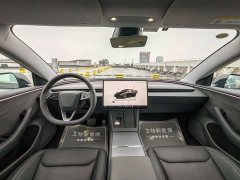 Tesla Model 3 Long Range All-Wheel Drive - ფოტო 13