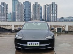 Tesla Model 3 Long Range All-Wheel Drive - ფოტო 3