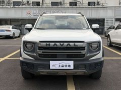 Great Wall Dachshund 1.5T DCT Labrador Edition - ფოტო 7