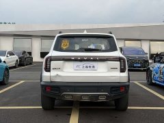 Great Wall Dachshund 1.5T DCT Labrador Edition - ფოტო 8