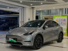 Tesla Model Y Rear-Wheel Drive - ფოტო 1